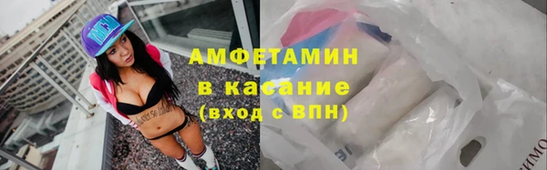 крисы Бородино