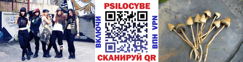 Псилоцибиновые грибы прущие грибы Красный Сулин